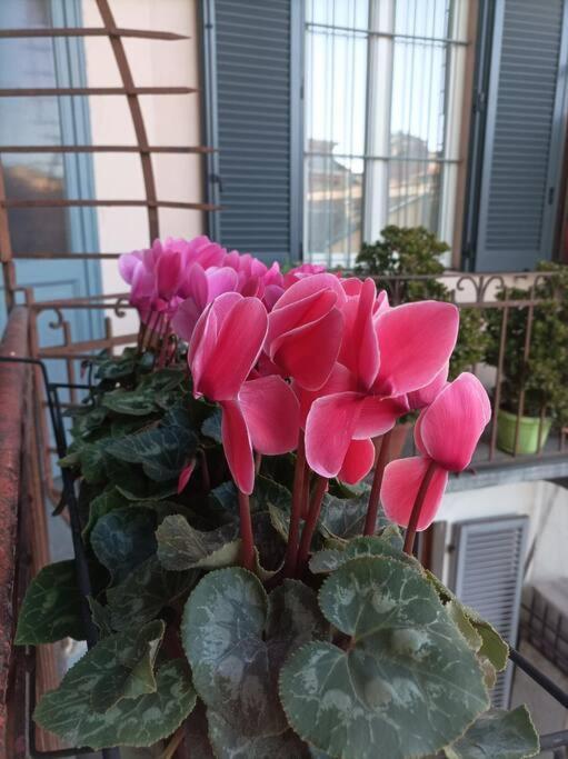 Pane E Tulipani, Cozy Apartment Near City Center Турин Экстерьер фото